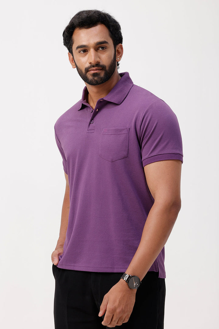 men polo t-shirt combo pack