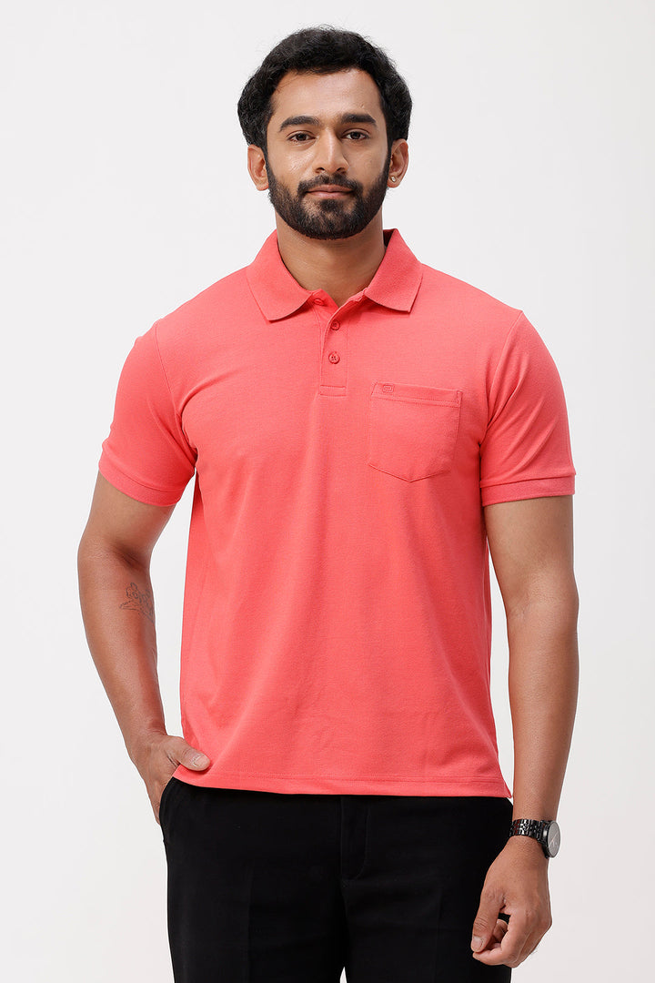 men polo t shirt combo pack